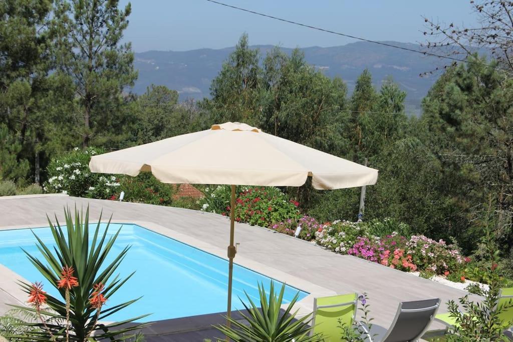 Casa Quelha Da Presa Villa Espinho  Ngoại thất bức ảnh